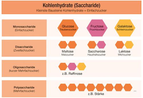 Wofür Braucht Der Körper Kohlenhydrate